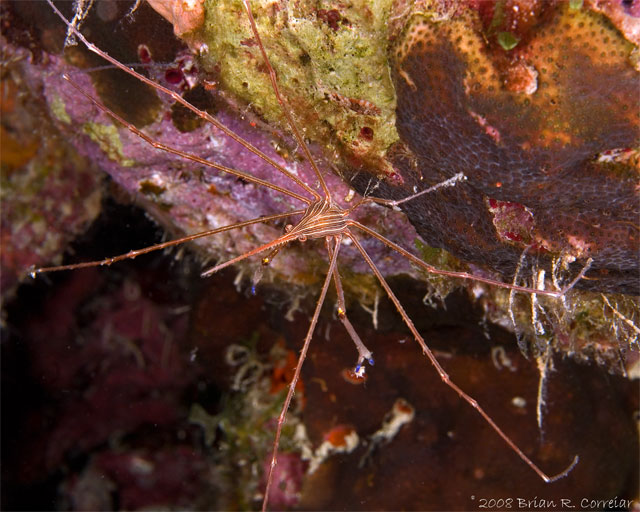 Bonaire_08_D-1_181_edited-2