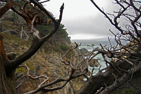 Pt-Lobos-Topside052_edited-