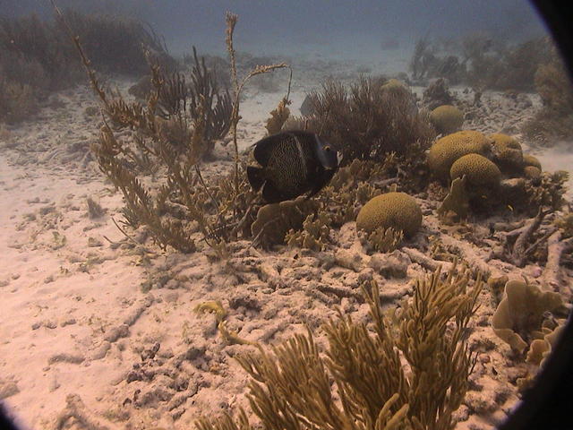 Bonaire 2004