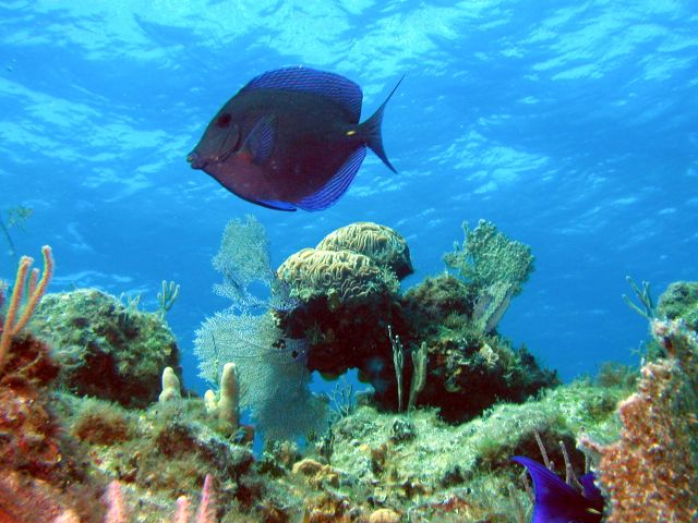 This shot is a keeper - the waters clear as we move to Nassau