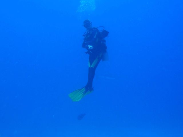 Mark hangs with sharks