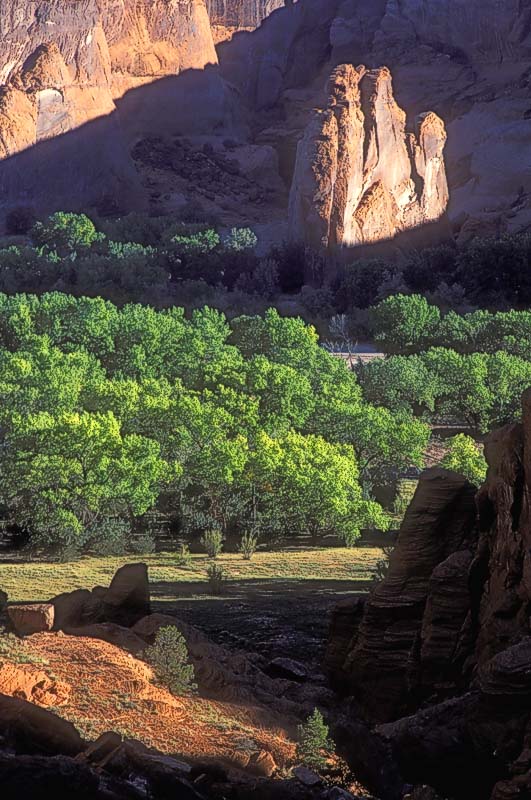 Green Valley.  Canyon de Chelley.  Shade to light to shade to light.  F100, 80-200mm at 135mm, Velvia.