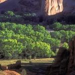 Green Valley.  Canyon de Chelley.  Shade to light to shade to light.  F100, 80-200mm at 135mm, Velvia.