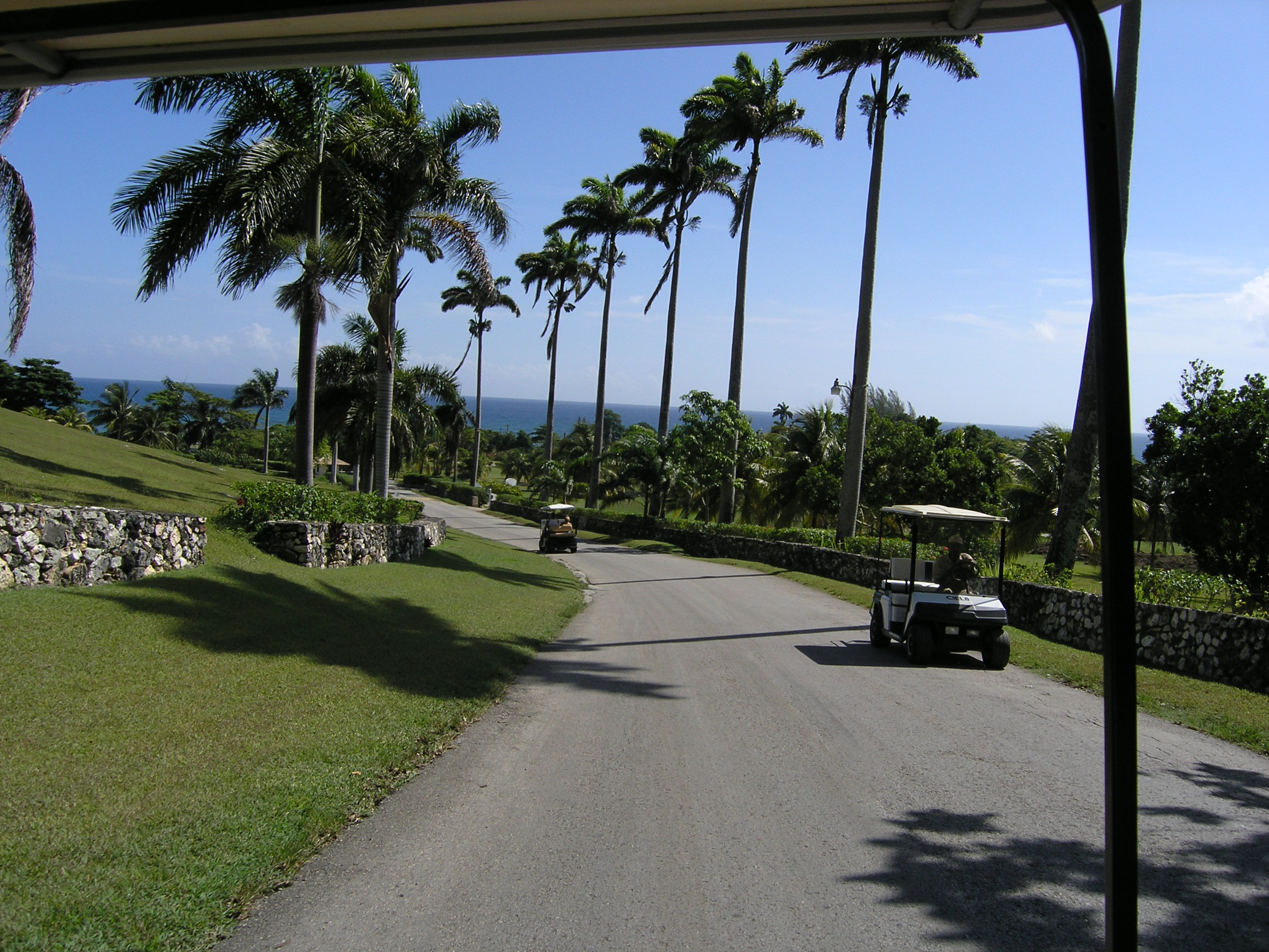 Taking a cruise on the golf cart... just wasting away